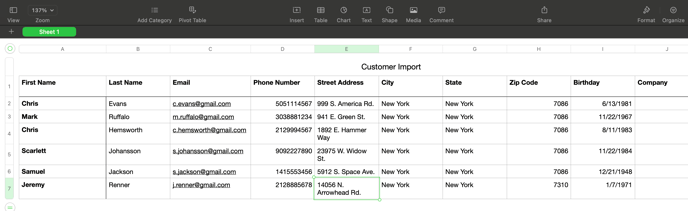 customer_import_example